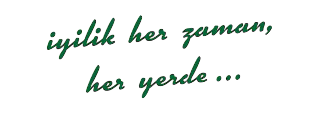 Alternate Text